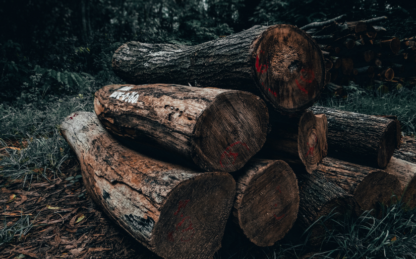 Dovetail Partners contributes to Forest Products Annual Market Review 2022-2023